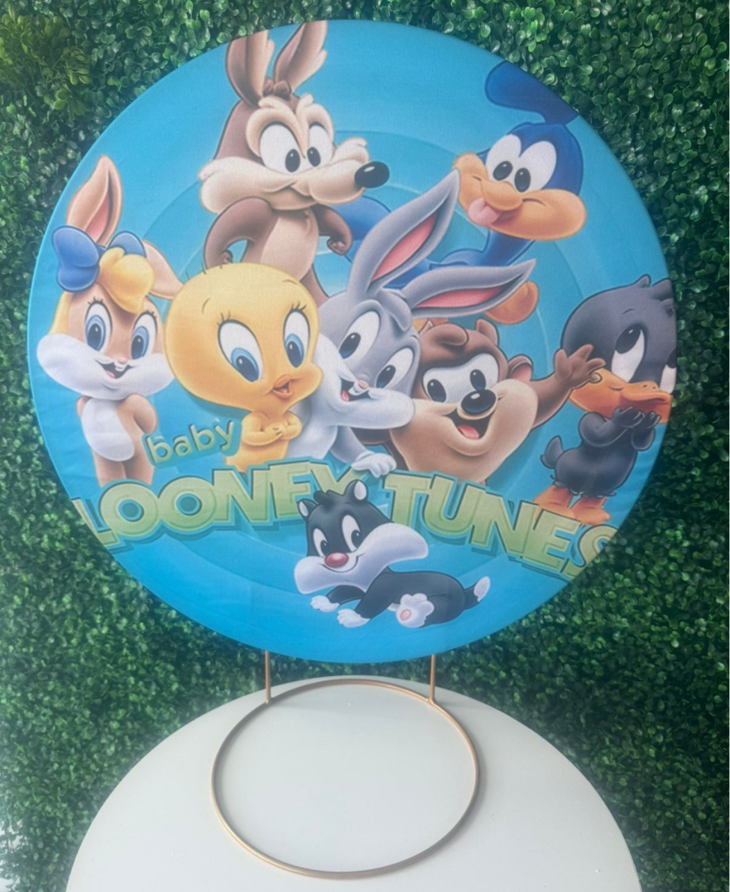Mini Painel Looney Tunnes 2 - Mouse Atelie das Festas