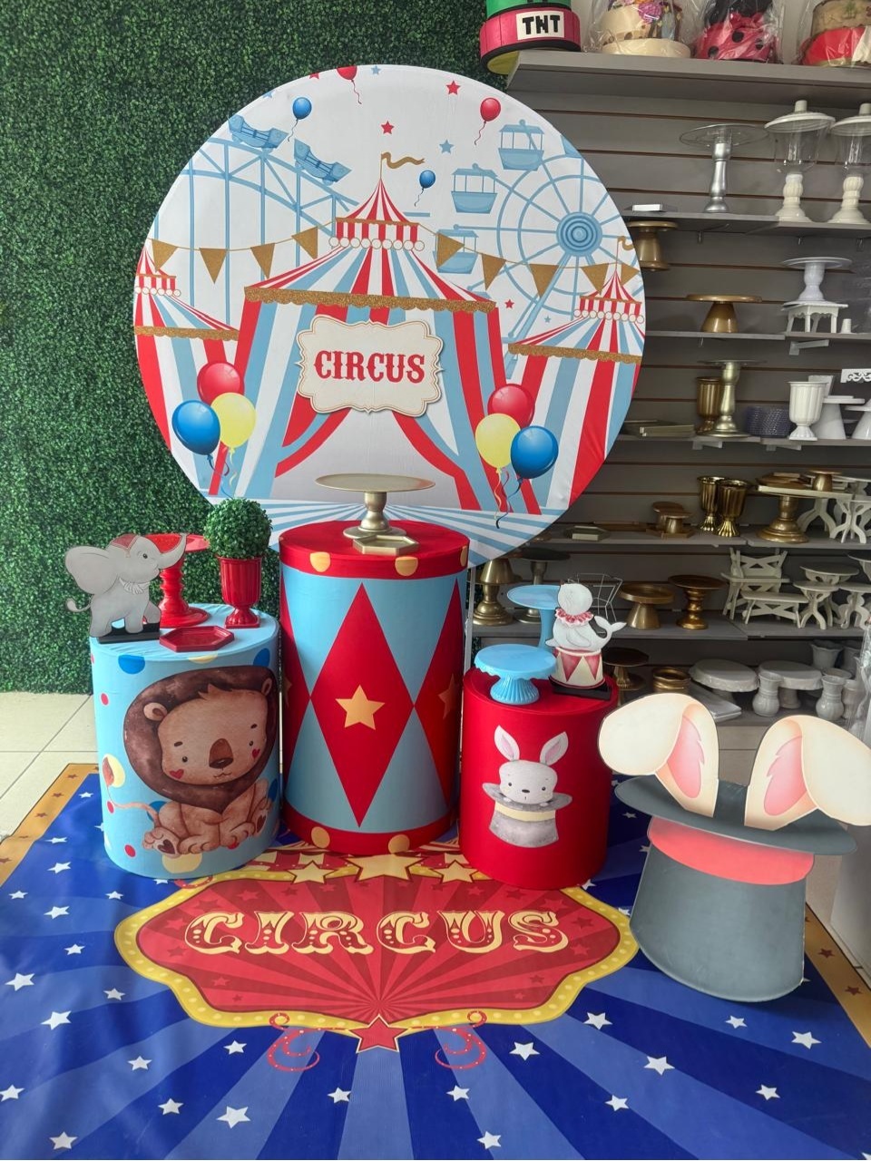 Circo 3 - Mouse Atelie das Festas
