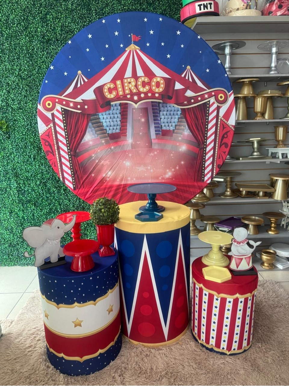Circo 2 - Mouse Atelie das Festas