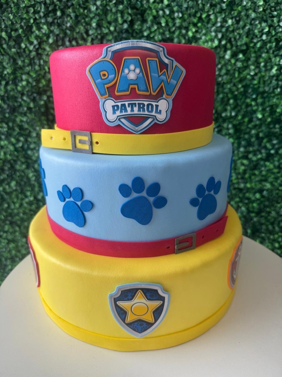 Bolo Fake Patrulha Canina - Mouse Atelie das Festas