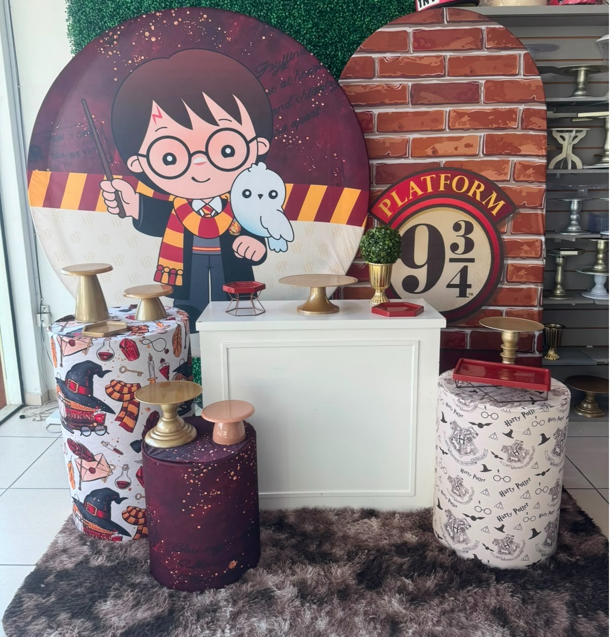 Harry Potter Novo - Mouse Atelie das Festas