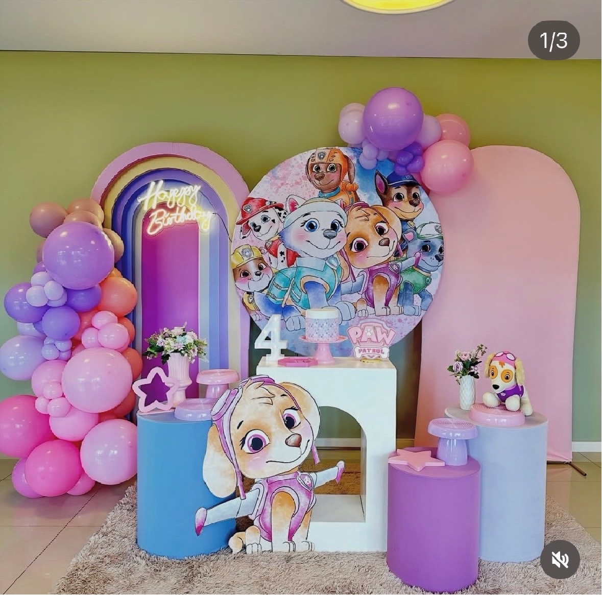  Patrulha Canina Rosa - HappyDay Decorações