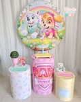 Kit Essencial - Patrulha Canina Menina - imagem 1