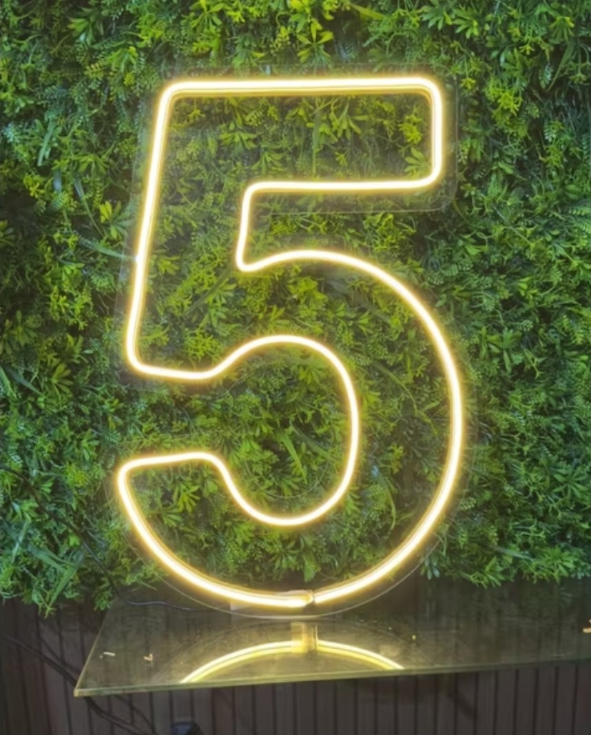 Led Número 5 - Locadora Flor de Cacau
