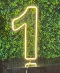 Led Número 1 - imagem 1