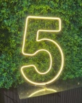 Led Número 5 - imagem 2