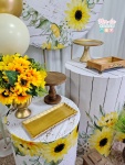 Kit Completo - Girassol - imagem 2