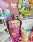 Kit Premium - Patrulha Canina Menina - imagem 2