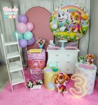 Kit Premium - Patrulha Canina Menina - imagem 1