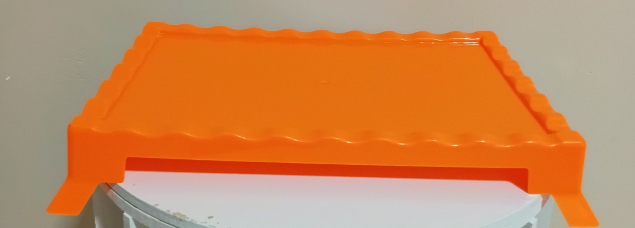 Bandeja Laranja Neon  - GEL.LOCACOES