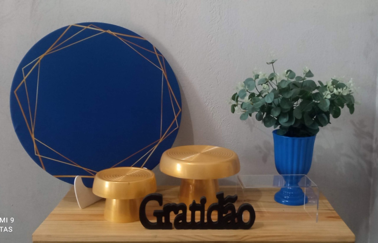 Adulto Masculino  - DECORAÊ FESTAS PEGUE E MONTE