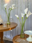 Kit Casamento 39 - imagem 2
