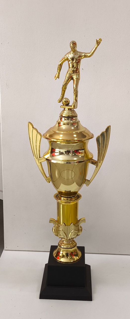Personagens ( Troféu) - Bel kids festas e eventos 