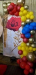 Bela E A Fera - imagem 4