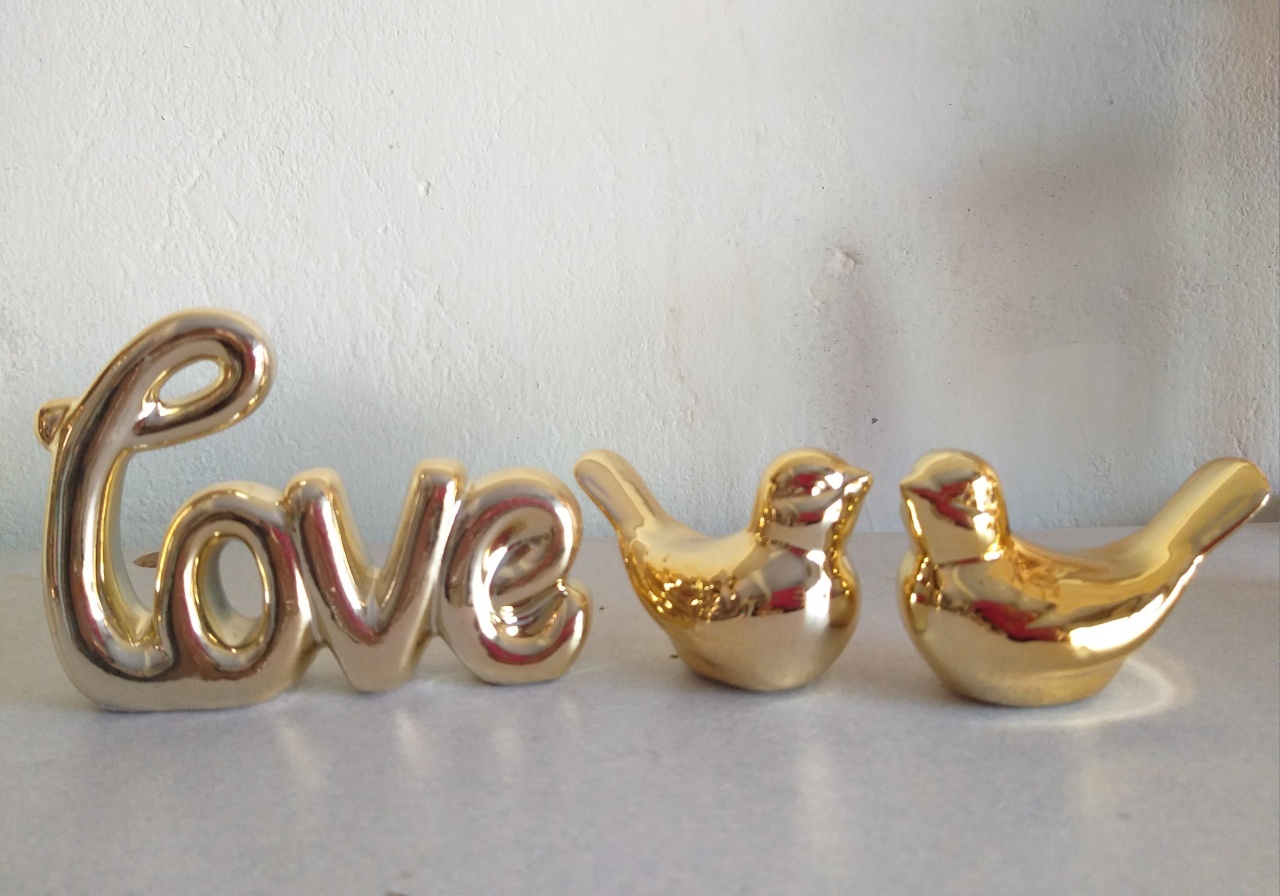 Love + Passarinhos - jessica jardin dos Reis