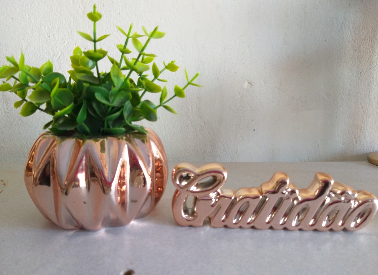 Mini Vaso Rosê + Gratidão  - jessica jardin dos Reis
