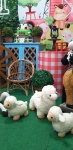 Fazendinha  01 - imagem 3
