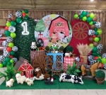 Fazendinha  01 - imagem 1