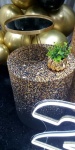 Kit Preto Com Dourado 3 - imagem 3