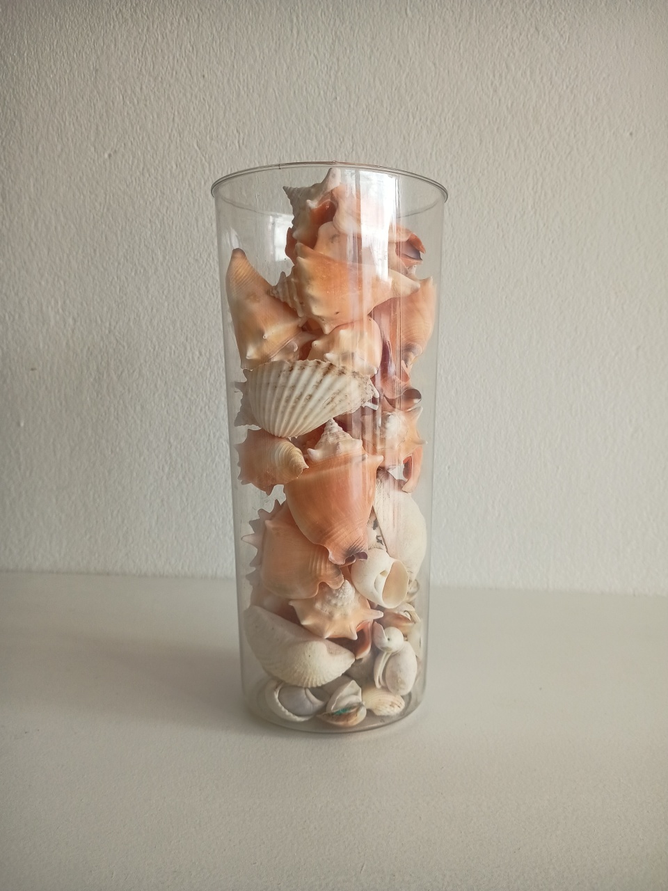 Vaso Trasparente Conchas  - Mary Decor Festas & Locações