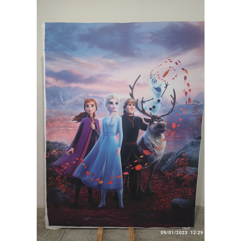Painel Sublimado Pequeno Frozen Retangular - Mary Decor Festas & Locações
