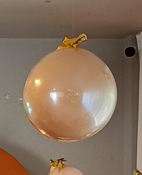 Balão Booble Encapsulado Com Fita de Cetim Para Pendurar  - Mary Decor Festas & Locações