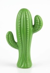 Cacto Verde  - imagem 1