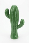 Cacto Verde  - imagem 2