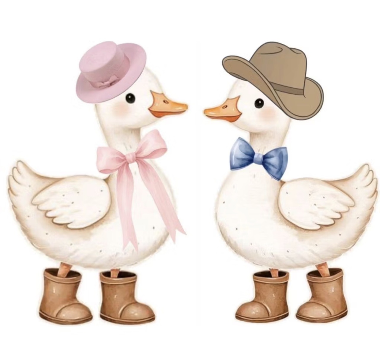 Display G Patos - Maria Luiza Cardoso Barbosa