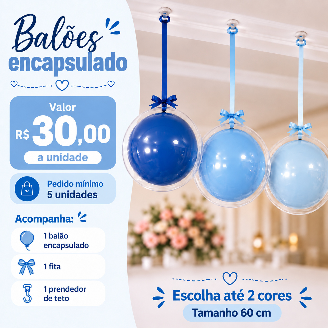 Balão Aéreo Encapsulado G - Maria Luiza Cardoso Barbosa