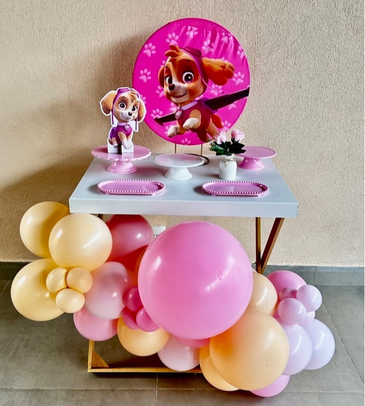 Mini Kit Skye - Maria Luiza Cardoso Barbosa