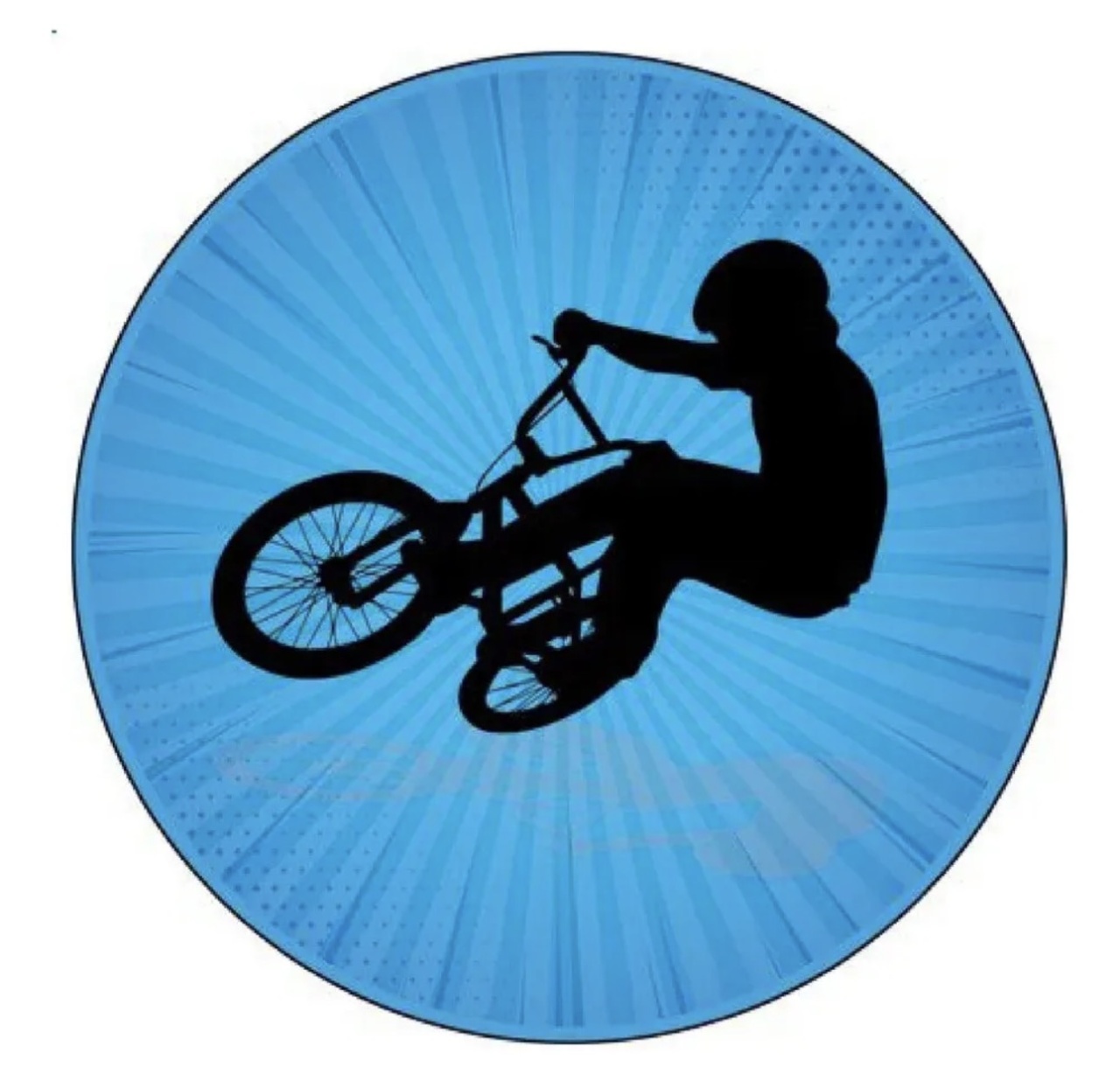 Capa Mini Painel Bike - Maria Luiza Cardoso Barbosa