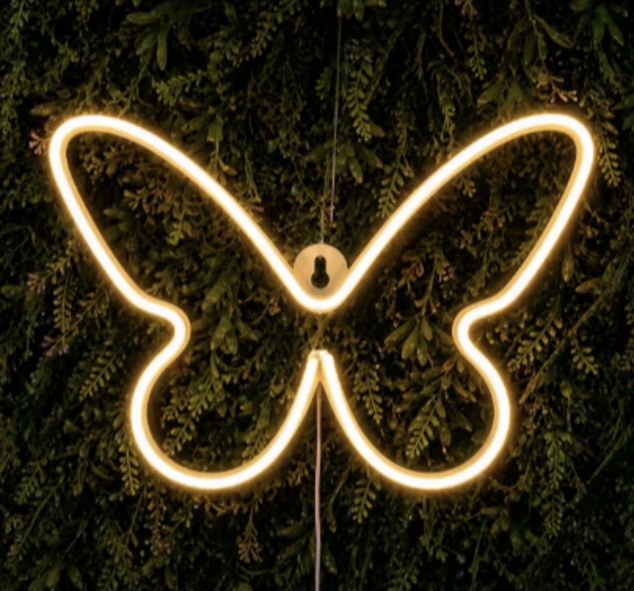 Borboleta Led - Maria Luiza Cardoso Barbosa