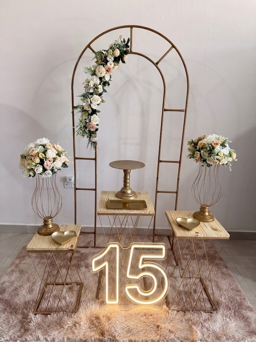 Kit 15 Anos Com Flores E Led - Maria Luiza Cardoso Barbosa