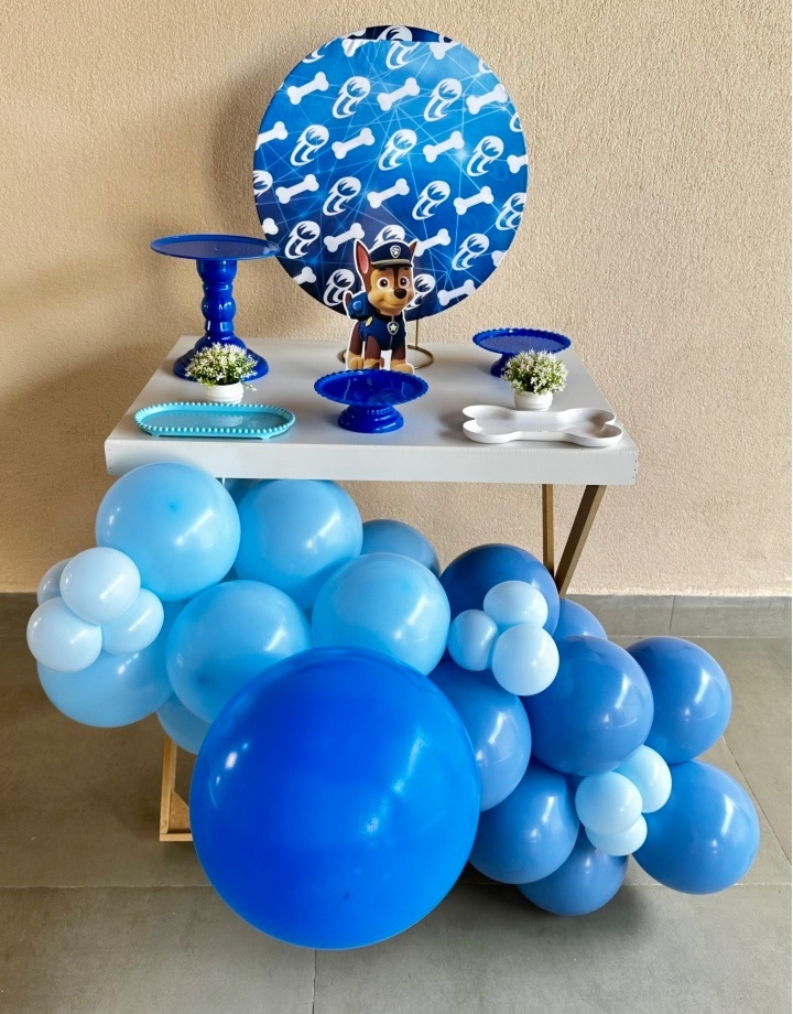 Mini Kit Patrulha Canina - Maria Luiza Cardoso Barbosa