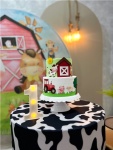 Kit Fazendinha - imagem 3