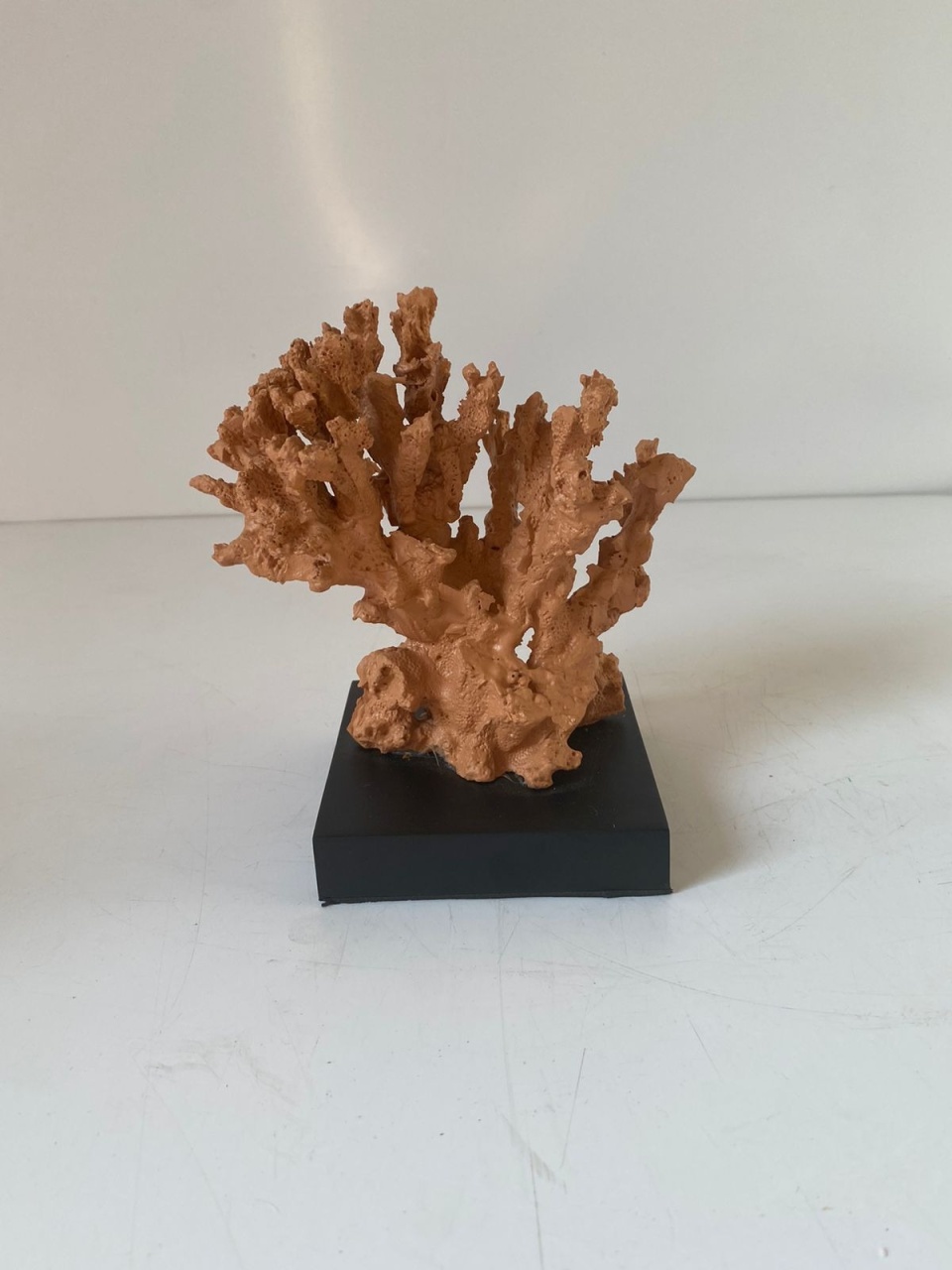 Alga Marrom P - Beck Decorações