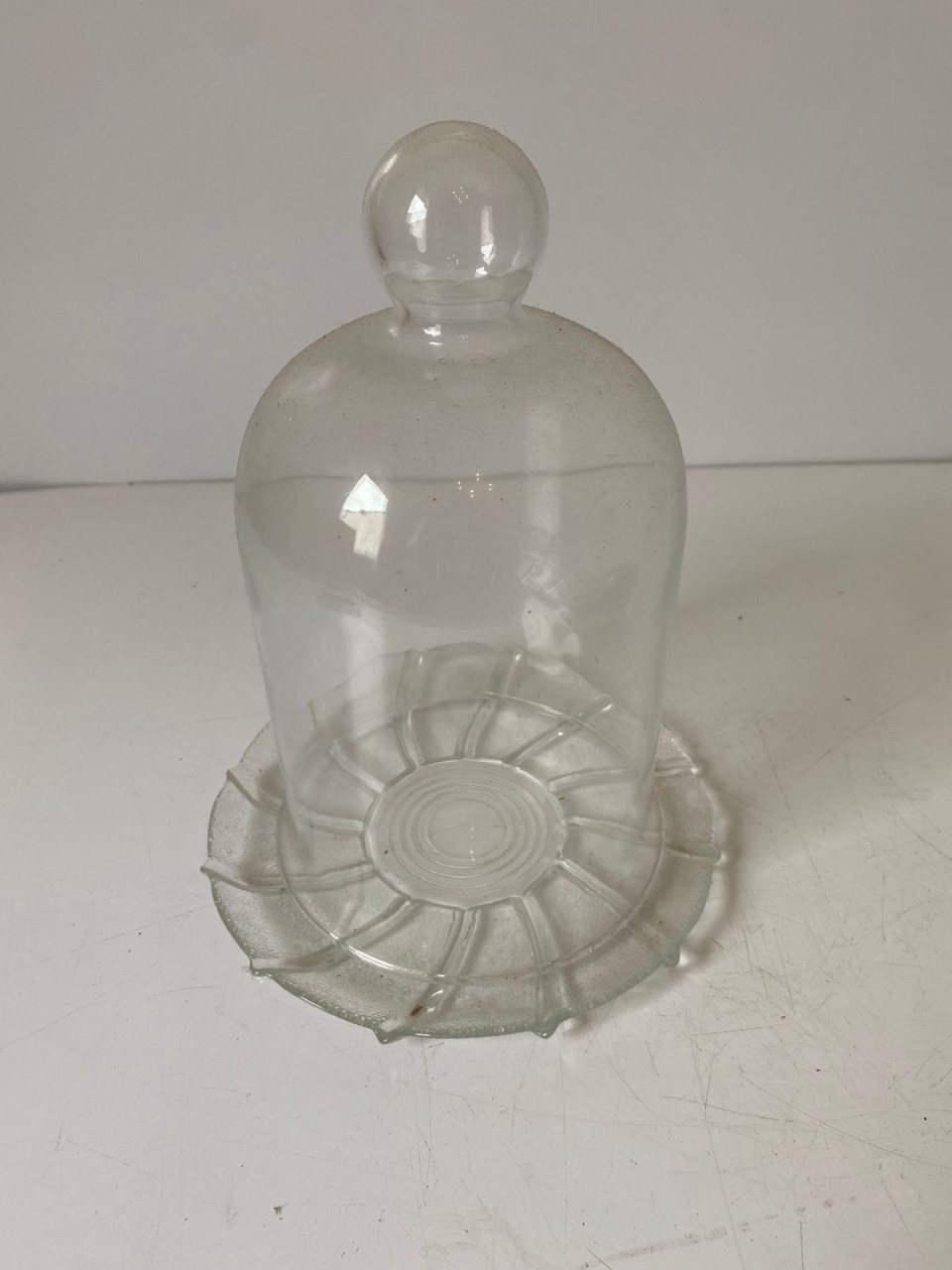 Cúpula de Vidro Com Prato  - Beck Decorações