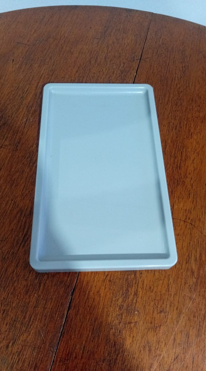 Bandeja Rasteira Pl 30X18X6Cm - Beck Decorações