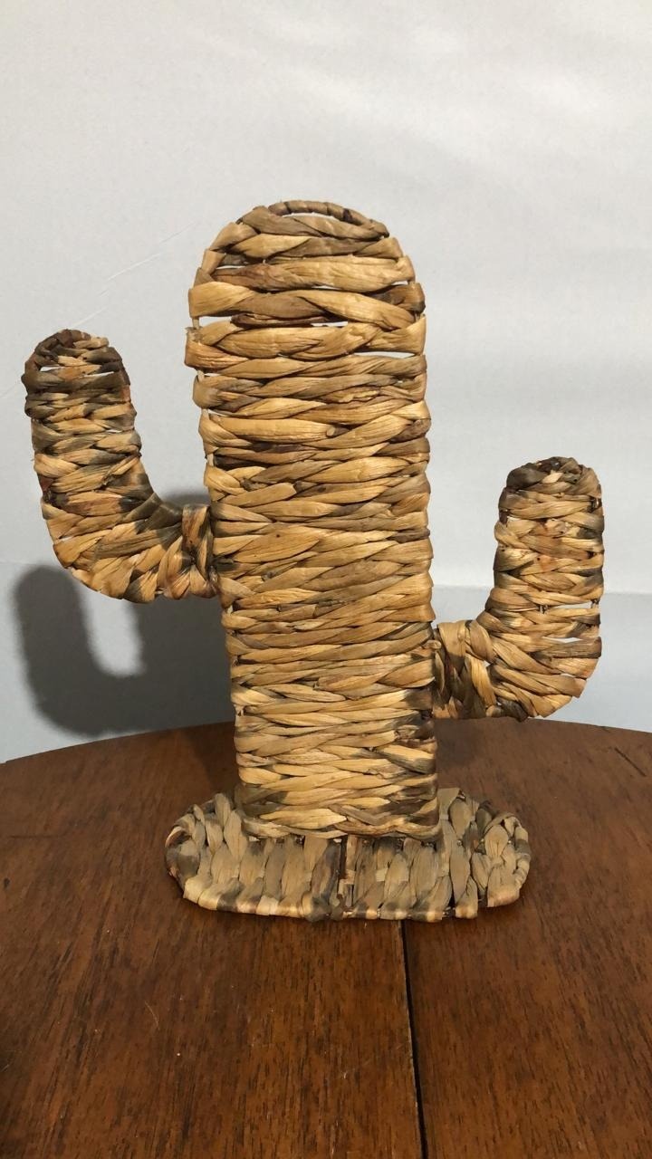 Cacto G 21X36X48Cm - Beck Decorações