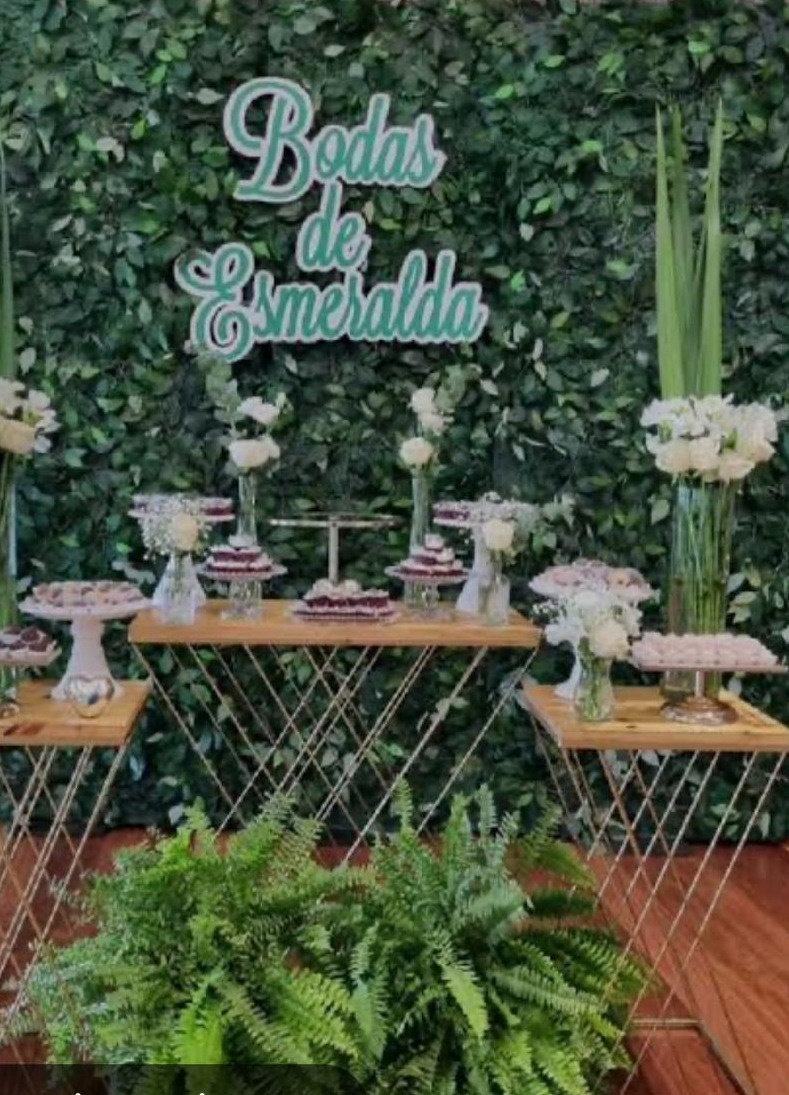 Bodas de Casamento - Eliana Pegue e Monte
