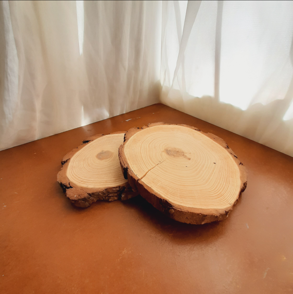 Toquinho de Árvore - Maluhe decorações 