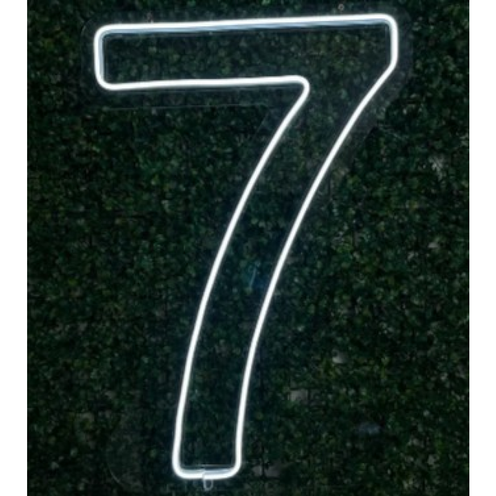 Número 7 Em Led 60 Cm - Maluhe decorações 