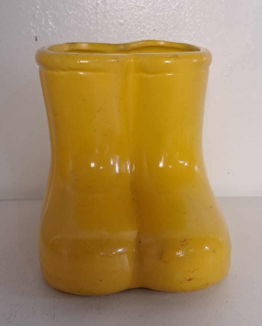 Botinha Amarela de Louça - Stefane Sales 