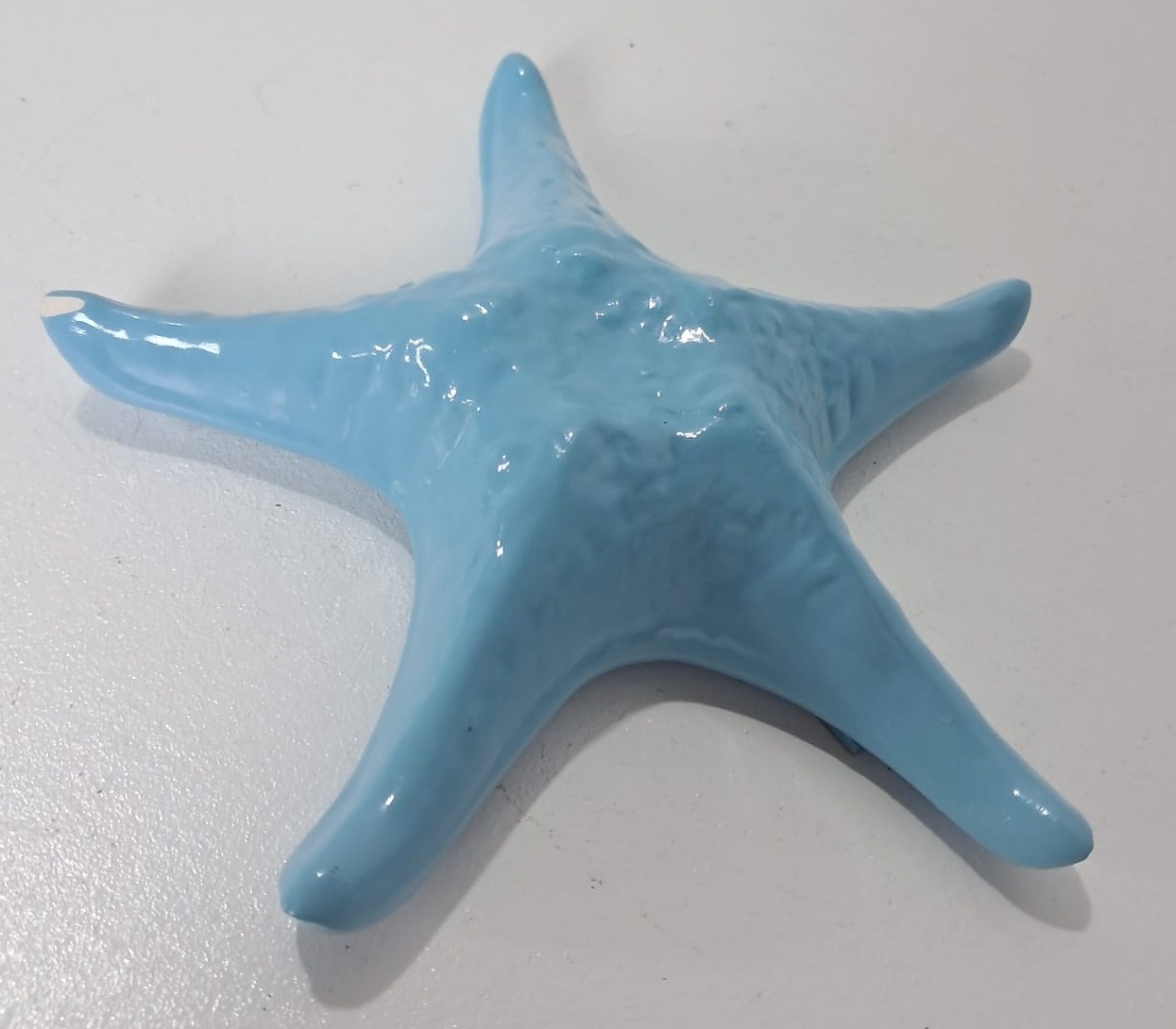 Estrela Do Mar Azul Celeste de Louça - Stefane Sales 