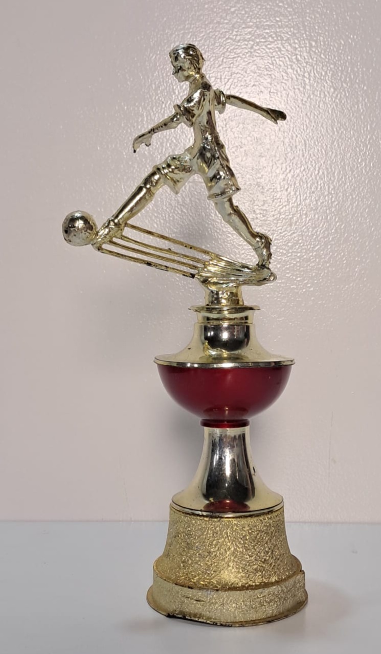 Troféu Médio - Stefane Sales 