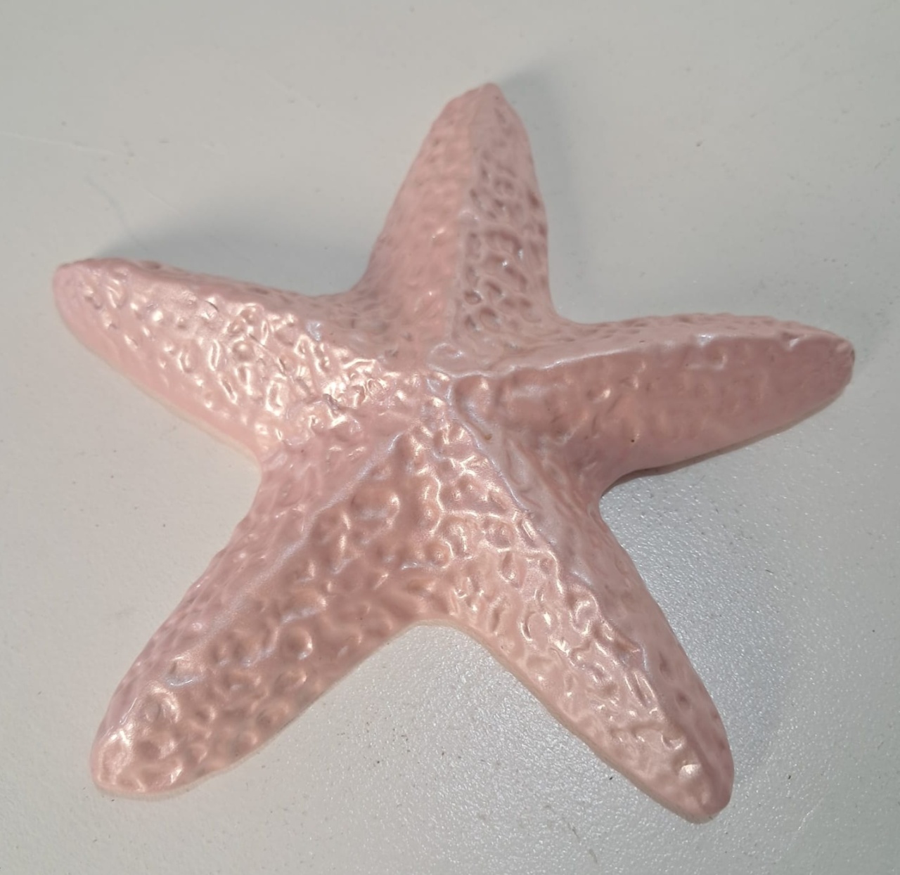 Estrela Do Mar Rosa Candy Decorativa de Louça - Stefane Sales 