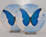 Display de Borboleta Azul - imagem 2