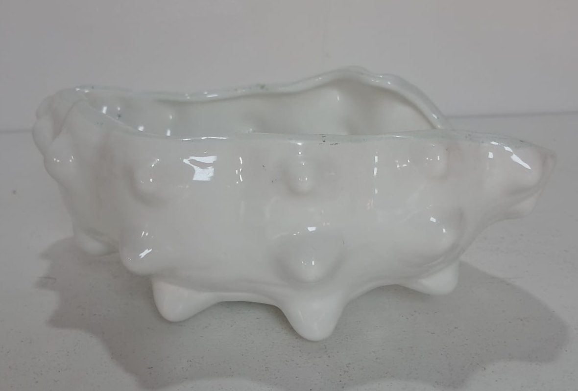 Concha Decorativa de Louça - Stefane Sales 