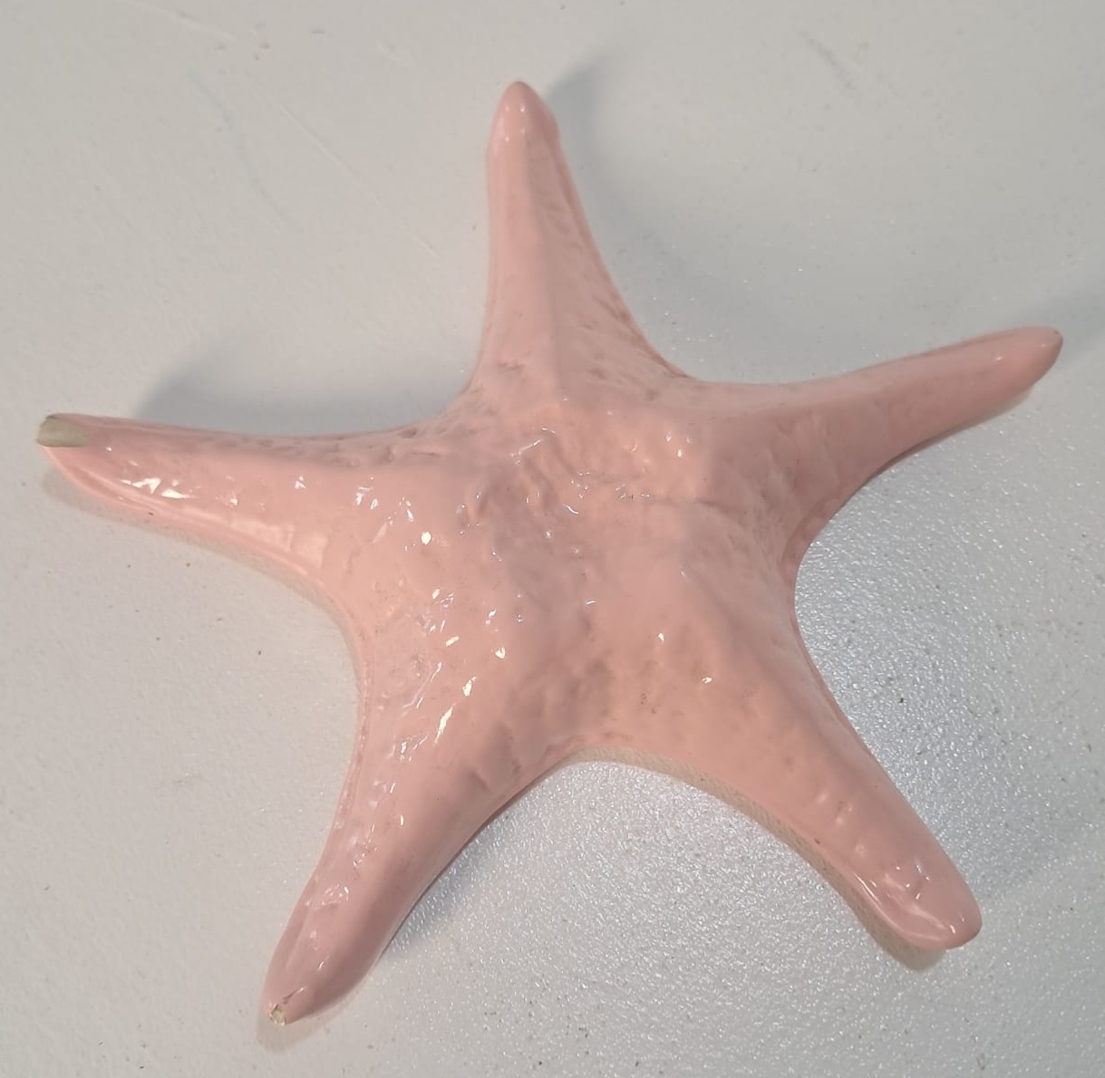Estrela Do Mar P Decorativa Rosa Candy de Louça - Stefane Sales 